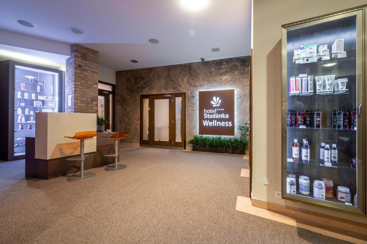 Hotel Studanka ريخنوف ناد كنيجنو المظهر الخارجي الصورة