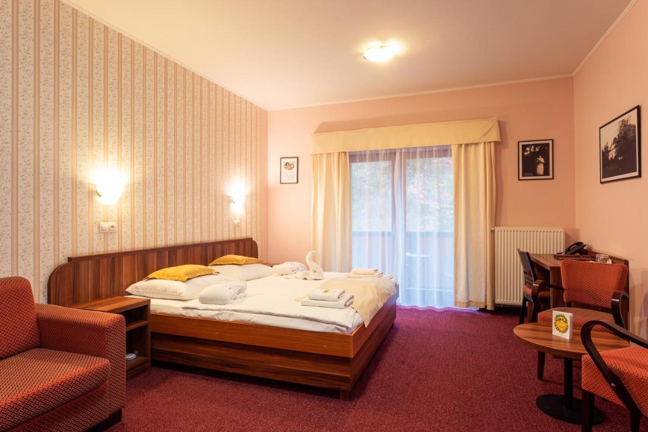 Hotel Studanka ريخنوف ناد كنيجنو المظهر الخارجي الصورة
